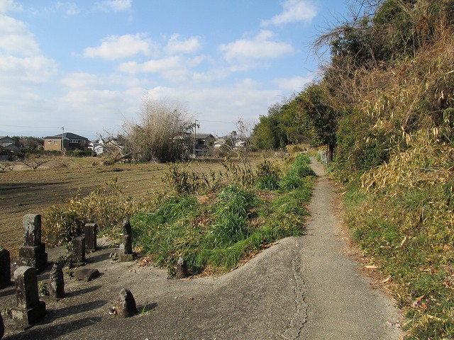 t05_022.jpg