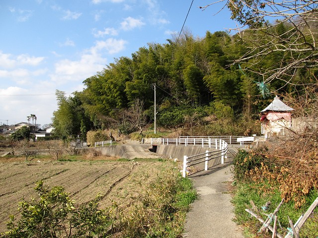 t05_023.jpg
