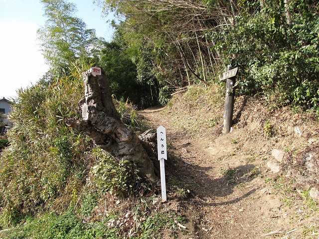 t05_024.jpg