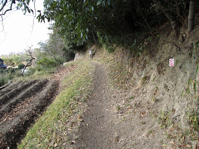 t05_025.jpg