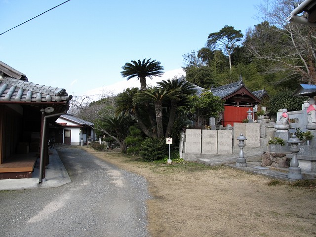 t05_028.jpg