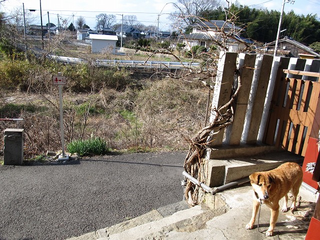t05_030.jpg
