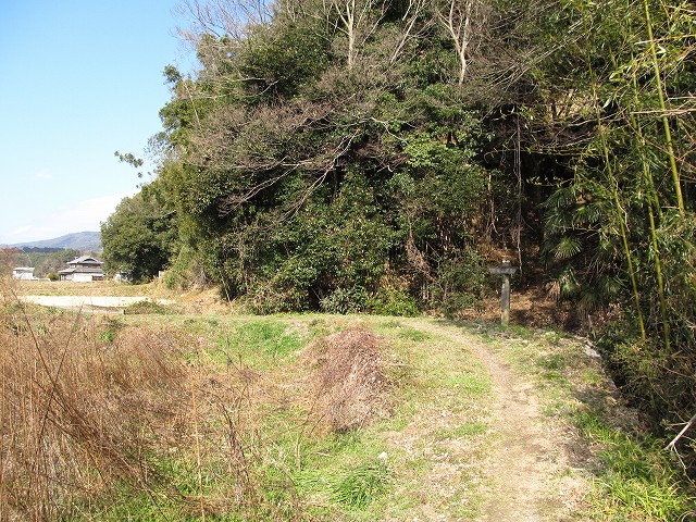 t05_034.jpg