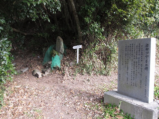 t05_036.jpg