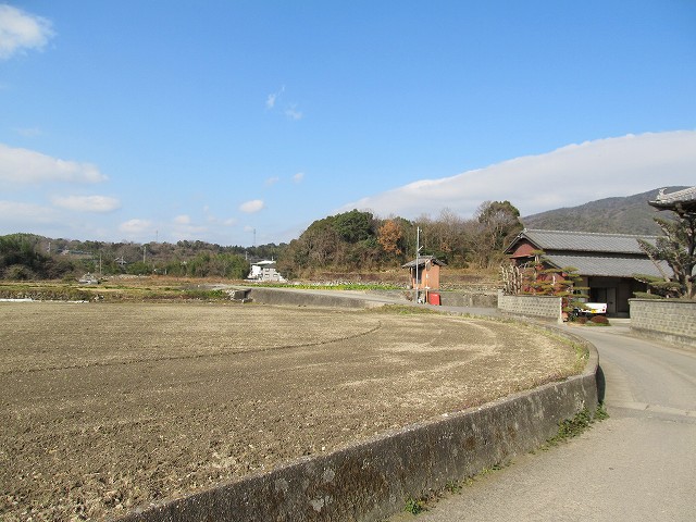 t05_042.jpg