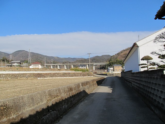 t05_043.jpg