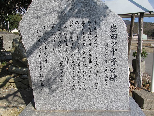 t05_048.jpg