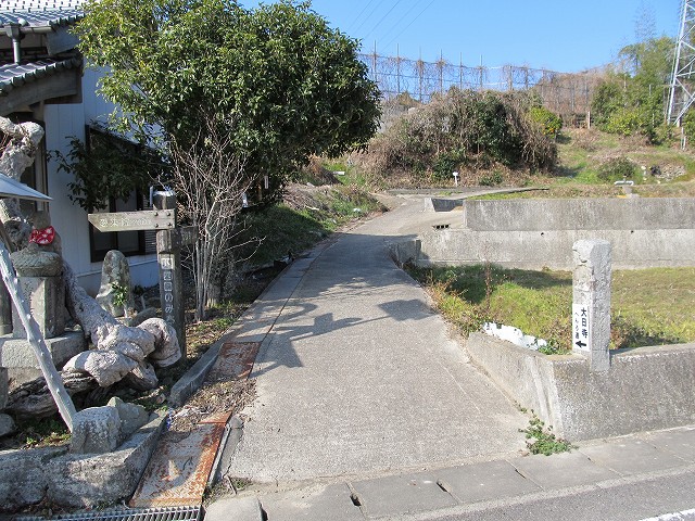 t05_049.jpg