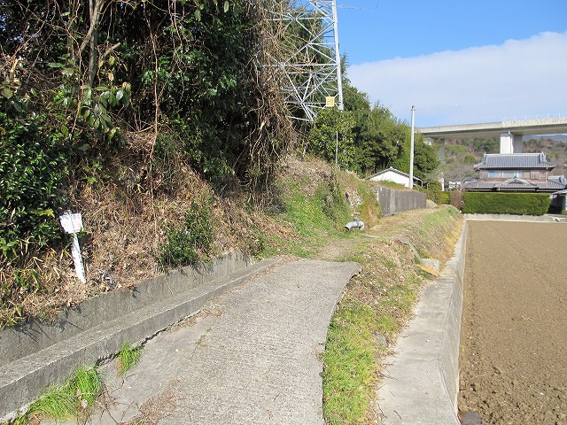 t05_050.jpg