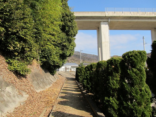 t05_051.jpg