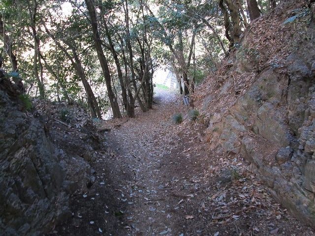 t05_055.jpg