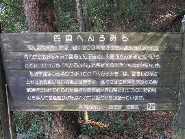 t05_056.jpg