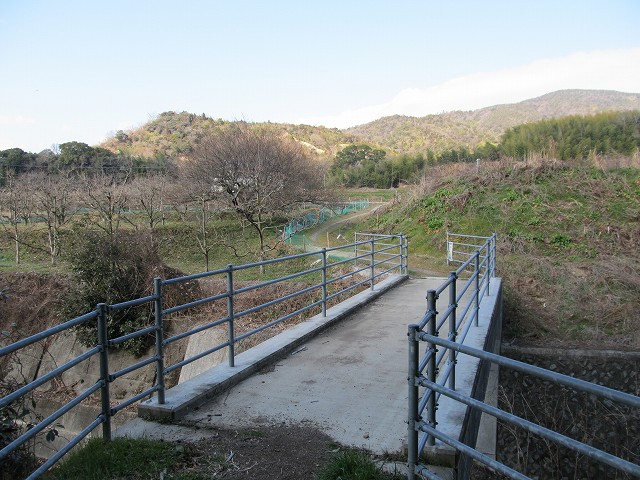 t05_058.jpg