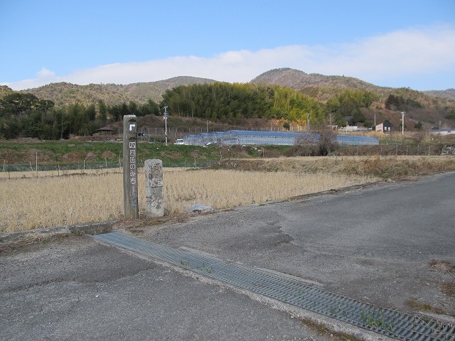 t05_059.jpg