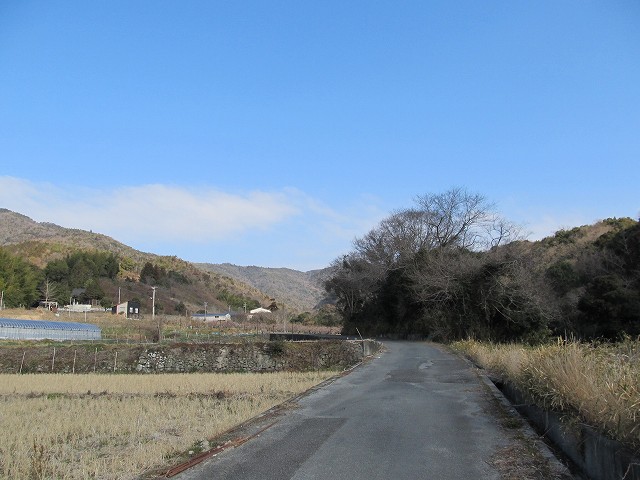 t05_060.jpg