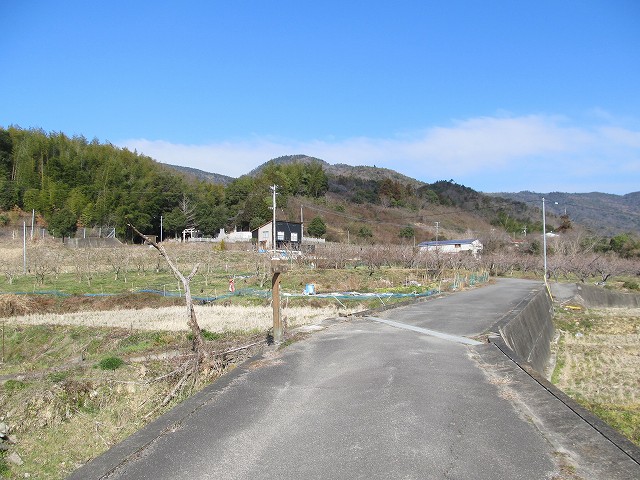 t05_061.jpg