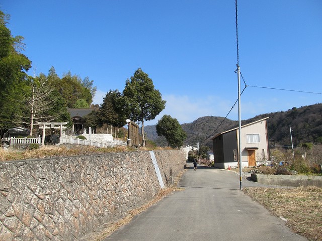 t05_062.jpg