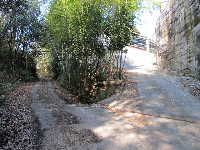 t05_066.jpg