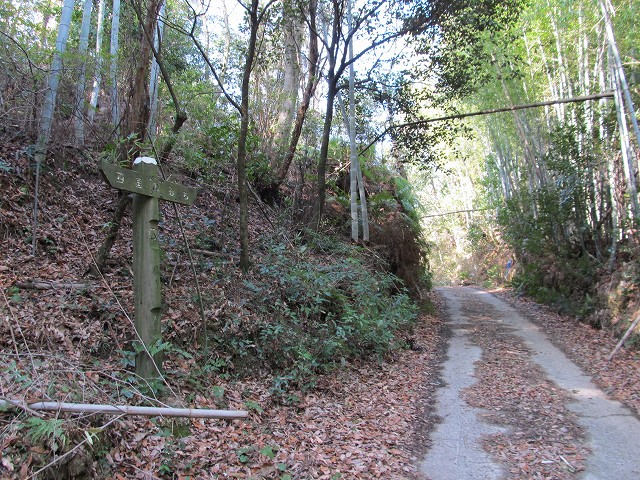 t05_067.jpg