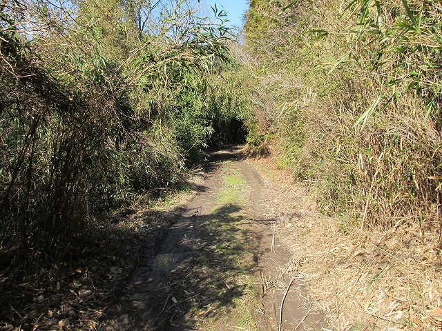 t05_068.jpg