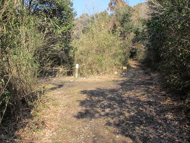 t05_069.jpg