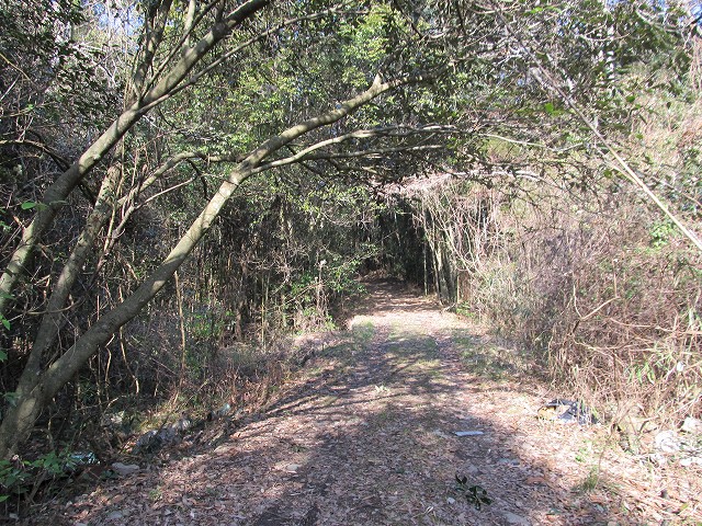 t05_070.jpg