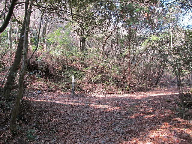 t05_072.jpg