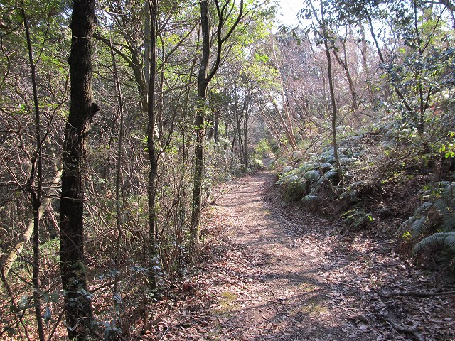 t05_073.jpg