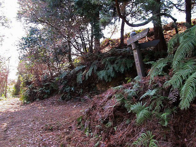 t05_074.jpg