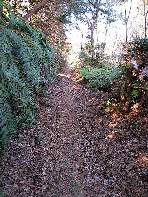 t05_075.jpg