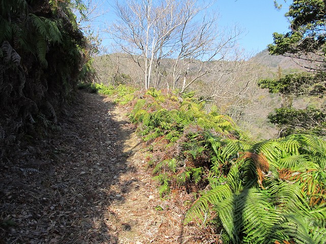 t05_078.jpg