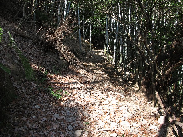 t05_080.jpg