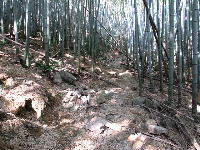 t05_081.jpg