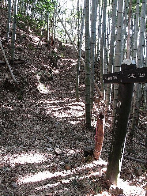 t05_082.jpg