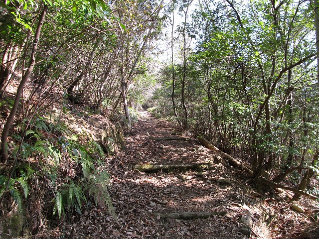 t05_083.jpg