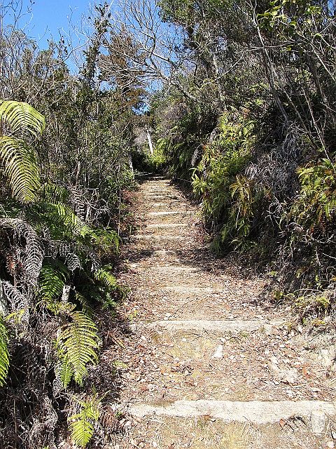 t05_084.jpg