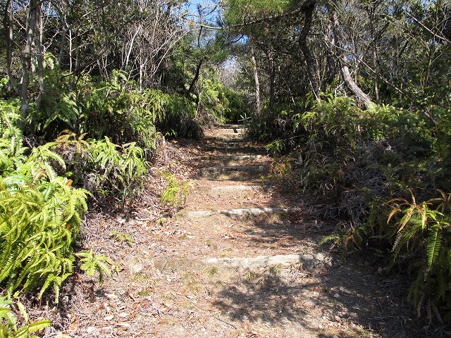 t05_085.jpg