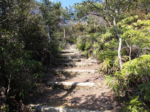 t05_086.jpg