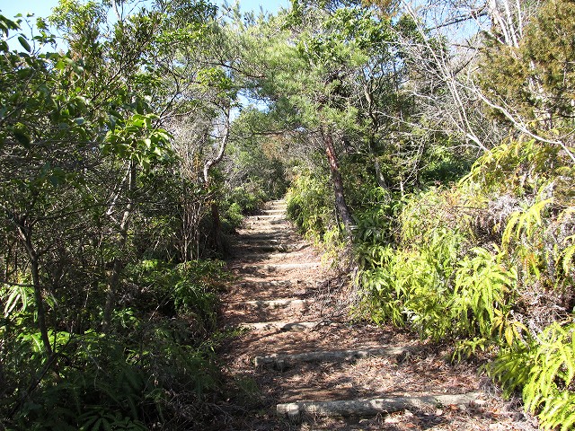 t05_087.jpg