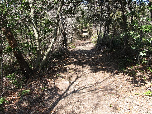 t05_088.jpg