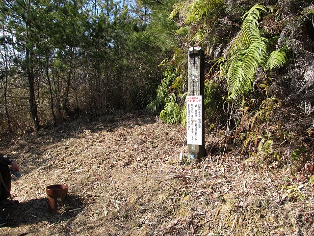 t05_089.jpg
