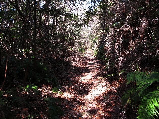 t05_090.jpg