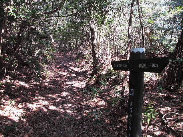 t05_091.jpg