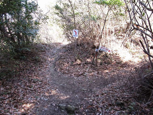t05_092.jpg