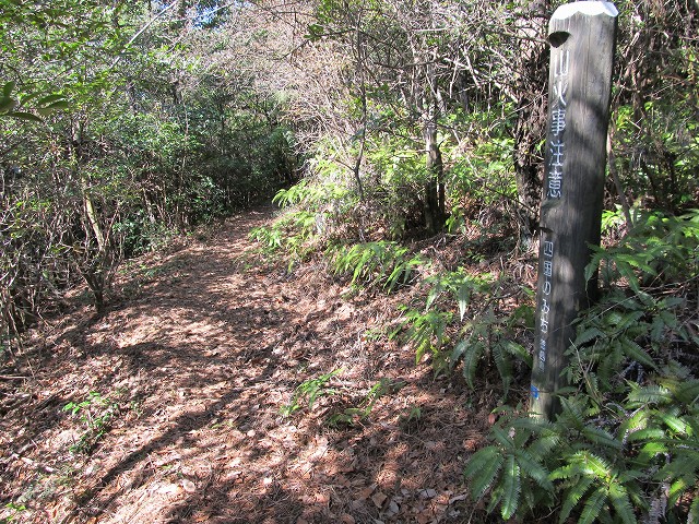 t05_093.jpg