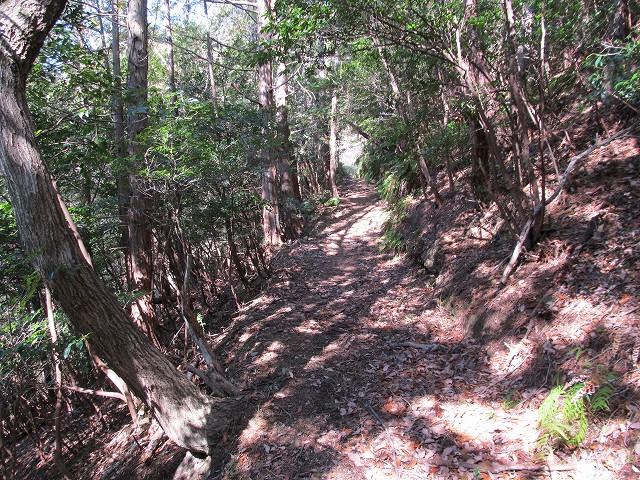 t05_094.jpg