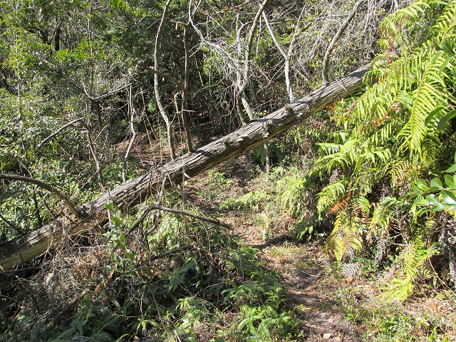 t05_095.jpg