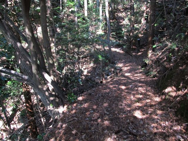 t05_097.jpg