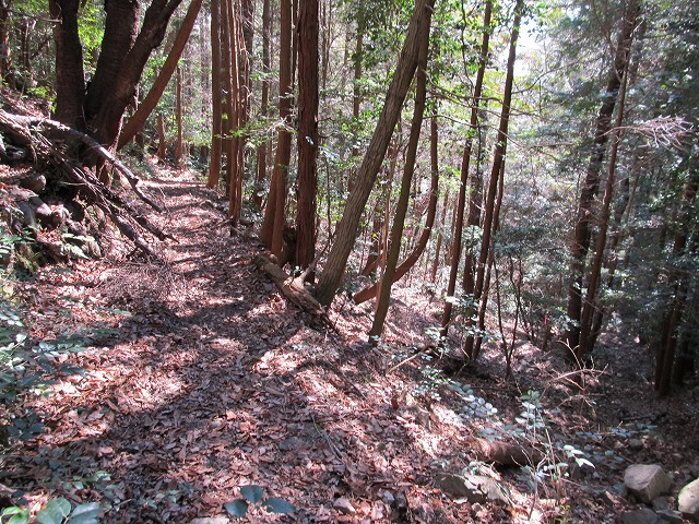 t05_099.jpg