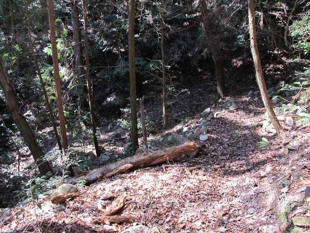 t05_100.jpg